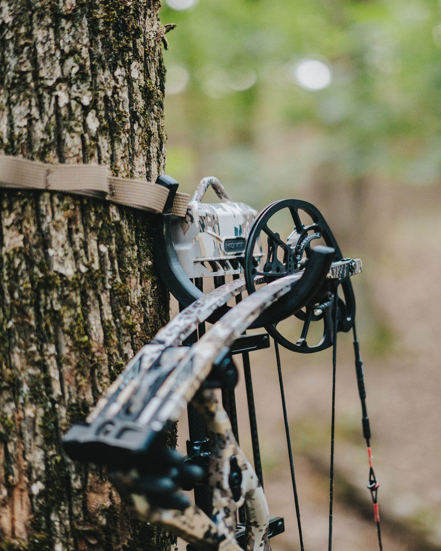 Bow/Gear Holder