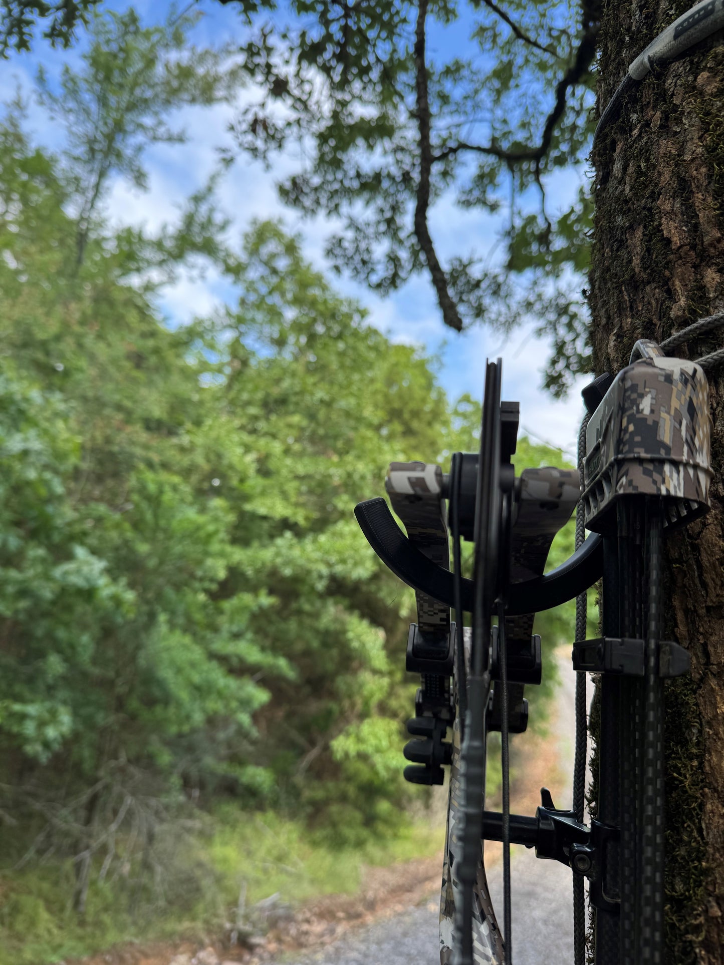 Bow/Gear Holder